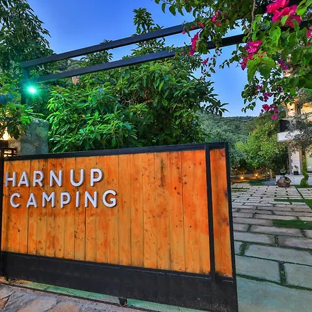 Harnup Каш