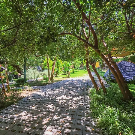 アパートホテル Harnup カシュ